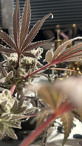 Growreport Bild 17