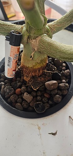 Growreport Bild 7