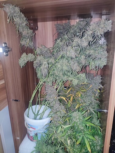 Growreport Bild 23