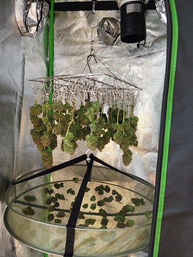 Growreport Bild 26