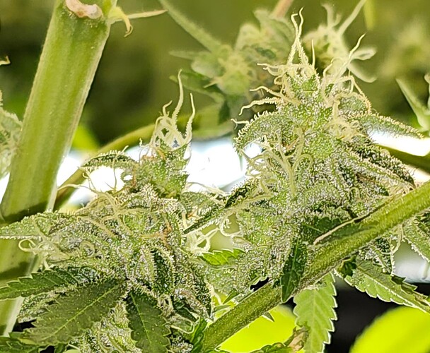 Growreport Bild 14