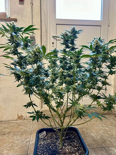 Growreport Bild 11