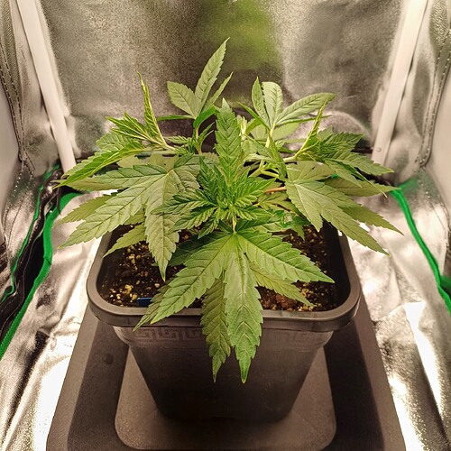 Growreport Bild 17
