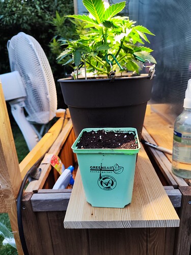 Growreport Bild 23