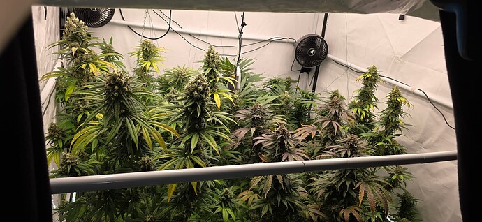 Growreport Bild 1