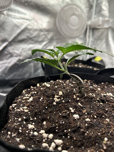 Growreport Bild 13