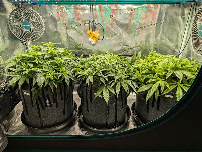 Growreport Bild 14
