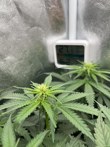 Growreport Bild 12