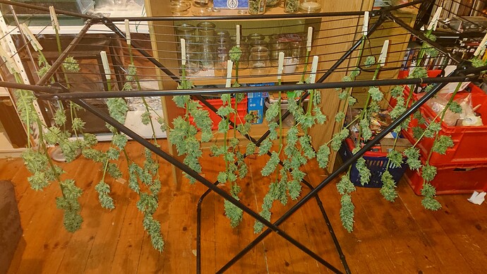 Growreport Bild 24