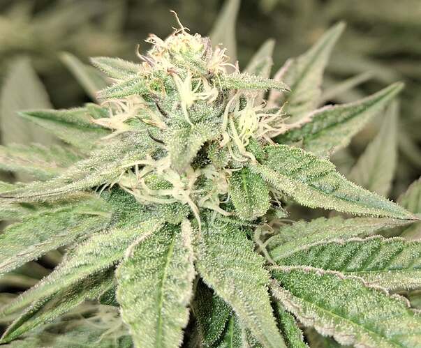 475530217_122166332426293599_3307644299344834128_n