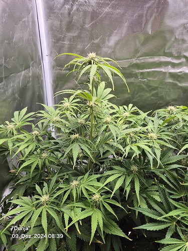 Growreport Bild 2