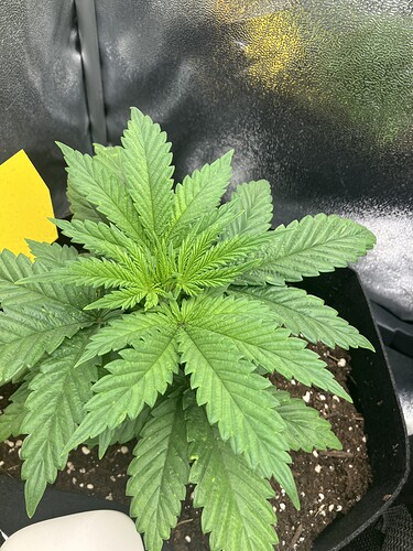 Growreport Bild 23
