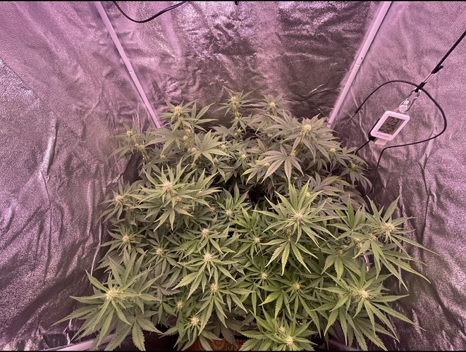 Growreport Bild 15