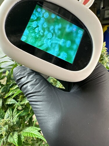 Growreport Bild 71