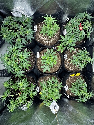 Growreport Bild 8