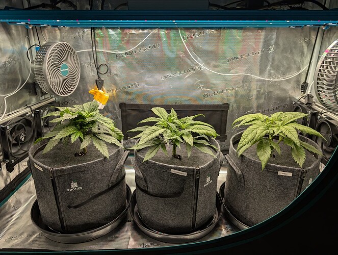 Growreport Bild 2