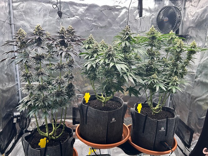 Growreport Bild 22