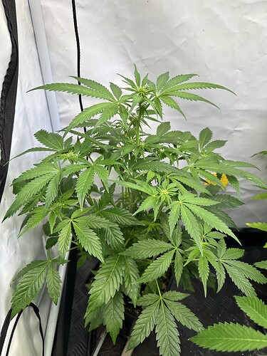 Growreport Bild 10