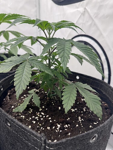 Growreport Bild 10