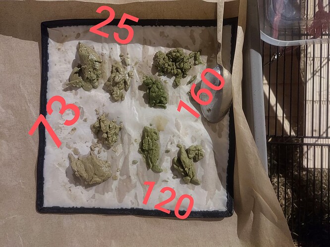 Growreport Bild 8