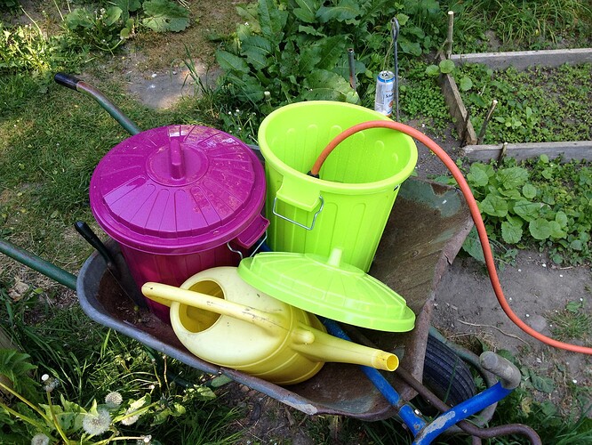 Growreport Bild 38