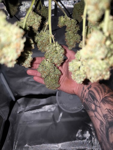 Growreport Bild 13