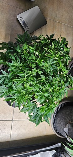 Growreport Bild 22