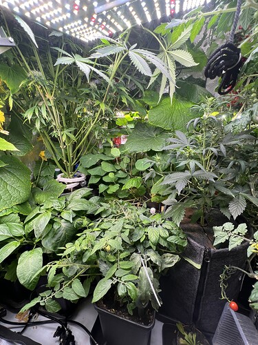 Growreport Bild 10