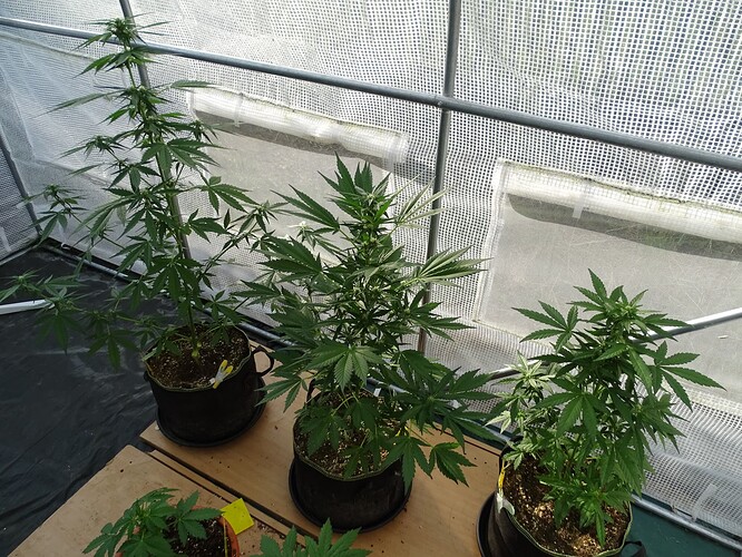 Growreport Bild 2