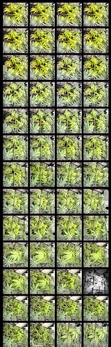 Screenshot_20240519_220439_Gallery