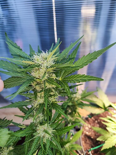 Growreport Bild 12