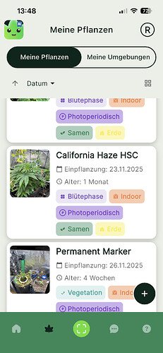 Growreport Bild 6