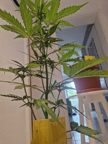 WhatsApp Image 2024-05-18 at 09.21.17 (3)