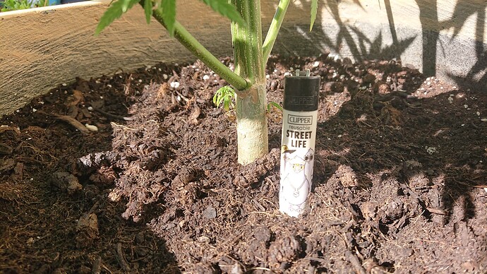 Growreport Bild 54