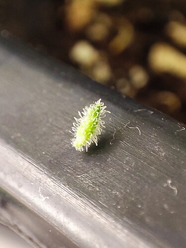 Growreport Bild 10