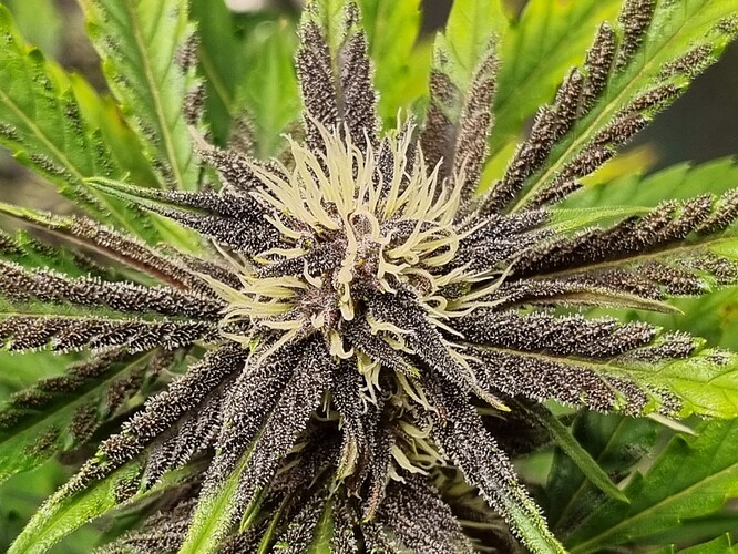 Growreport Bild 14
