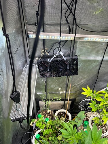Growreport Bild 3