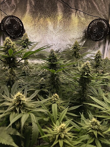 Growreport Bild 16