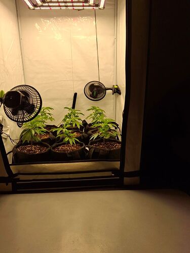 Growreport Bild 10