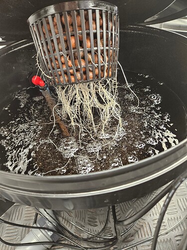 Growreport Bild 26