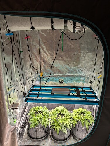 Growreport Bild 15