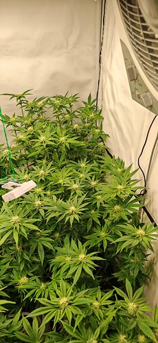 Growreport Bild 11