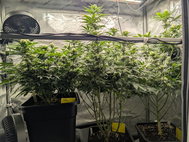 Growreport Bild 1