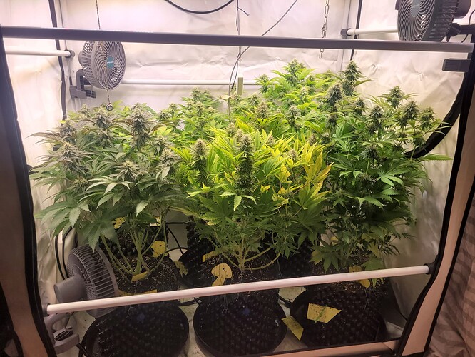 17079196947316996088234916101995