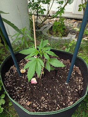 PXL_20250622_150515176