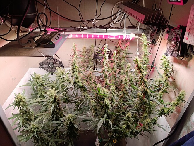 Growreport Bild 5