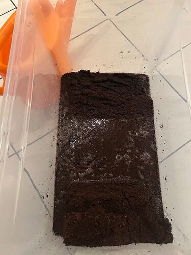 Growreport Bild 61