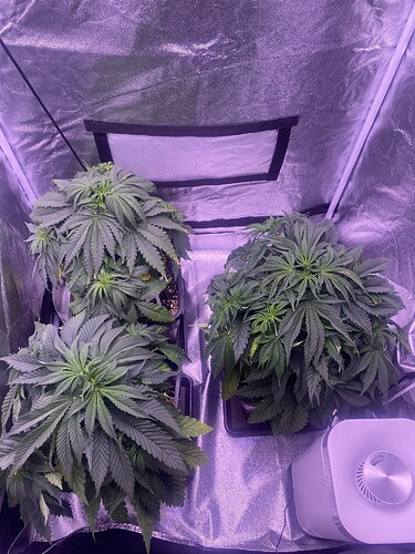 Growreport Bild 6