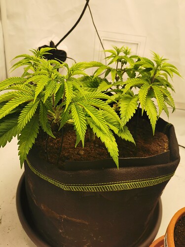 Growreport Bild 16