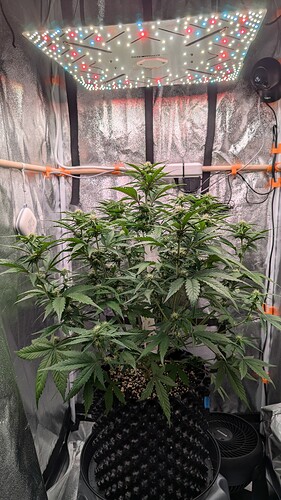 PXL_20240805_081649509
